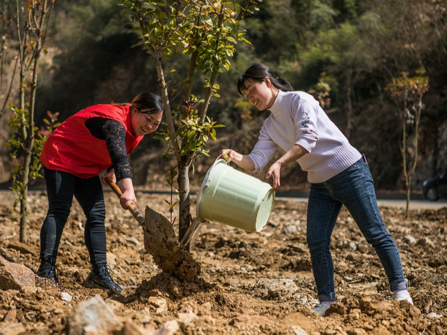 深河鄉(xiāng)：打造成綠色公路長廊