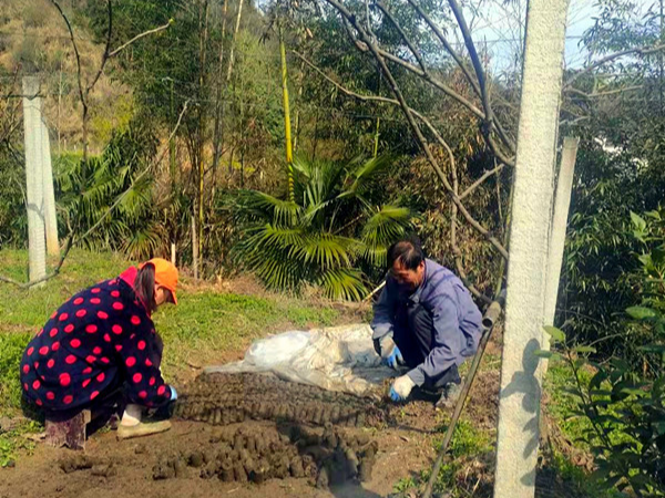 縣衛(wèi)生健康局開展民情大走訪  推進(jìn)為民辦實(shí)事