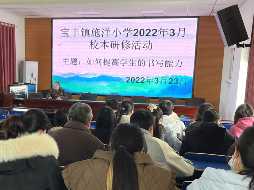 宝丰镇施洋小学开展“菜单式”教师研修培训