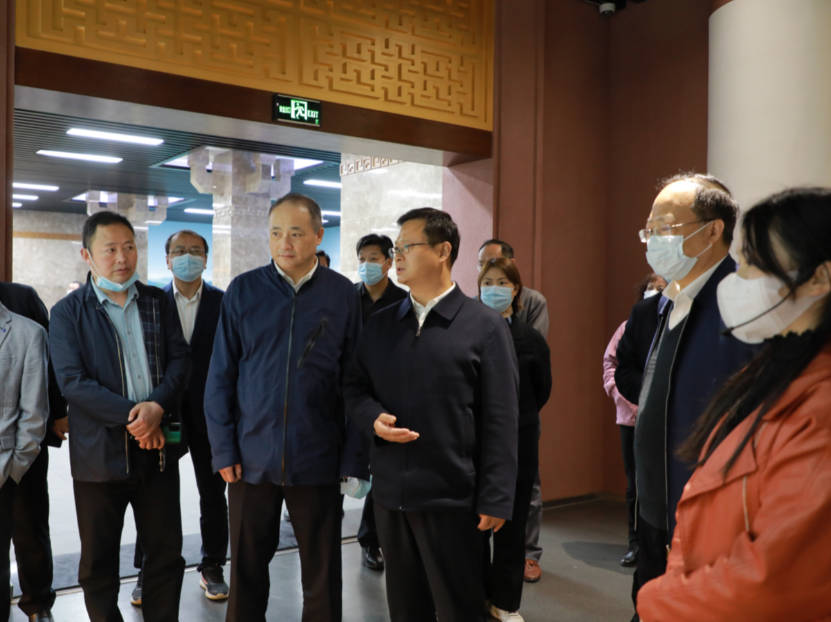 省知识产权局来我县检查督导工作