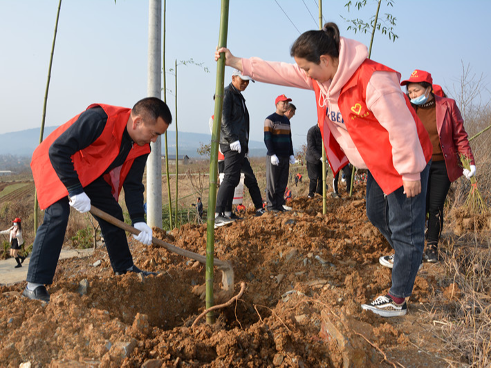 竹山二中：同栽一棵树  共添一片蓝