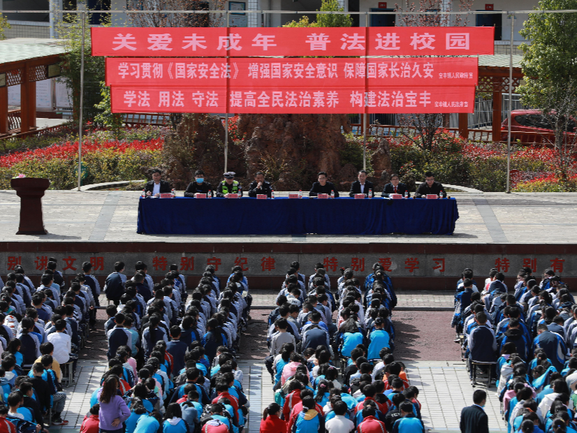 宝丰镇开展“关爱未成年、普法进校园”活动