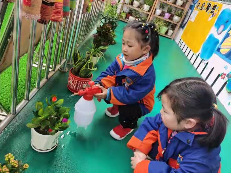 县实验幼儿园开展绿化环境、爱护植物活动