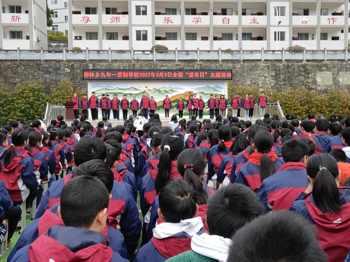 柳林乡九年一贯制学校开展“爱耳日”教育宣传活动