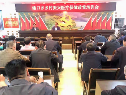 潘口乡：组织开展医保政策培训 