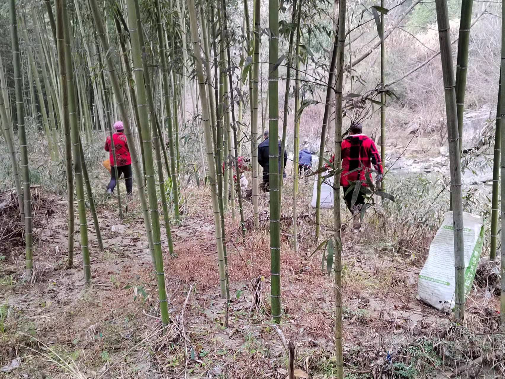 楼台乡开展环境整治刷新乡村“颜值”