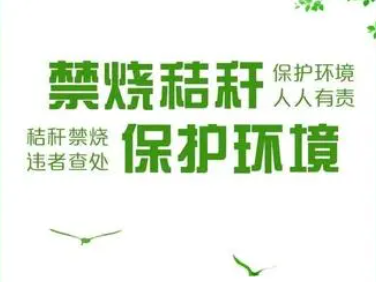 柳林乡：秸秆禁烧 助力生态振兴