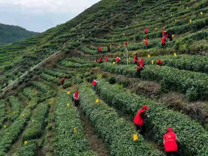 县委宣传部:“户户走到”助推驻村帮扶提质增效