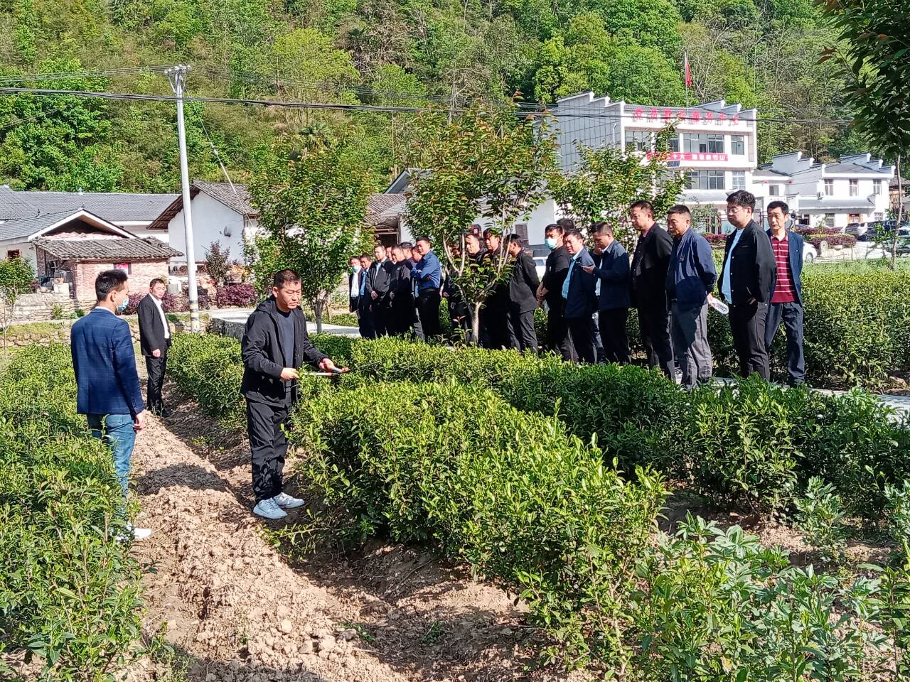 县市场监管局拧紧发条推动乡村振兴工作行稳行远