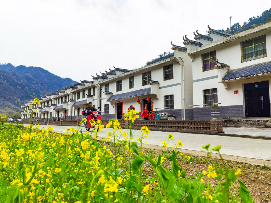 县民政局：用好谈心谈话 筑牢思想防线