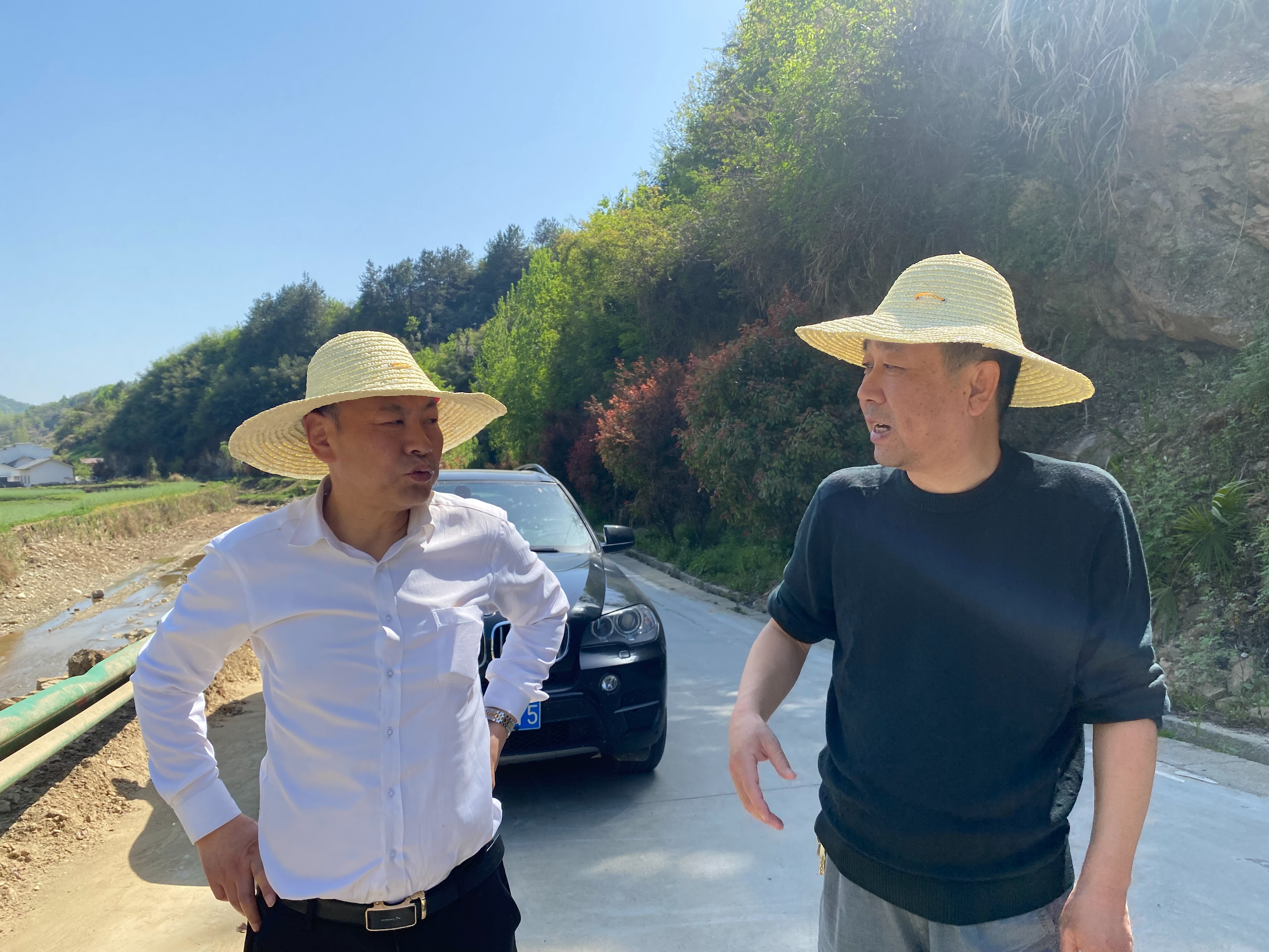 省农业农村厅来我县调研高标准农田建设工作