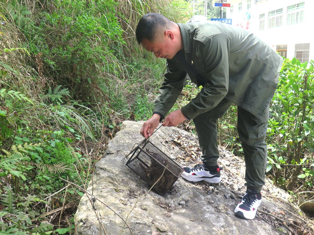 鼯鼠做客农家  村民救助放生