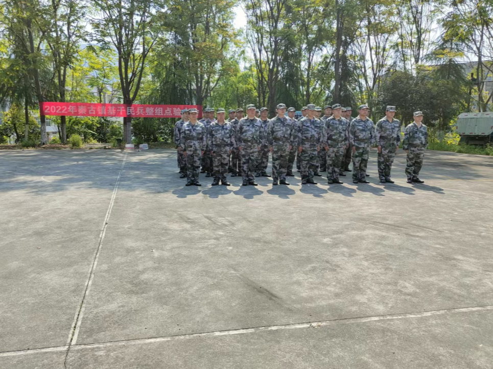 秦古镇：民兵点验亮风采