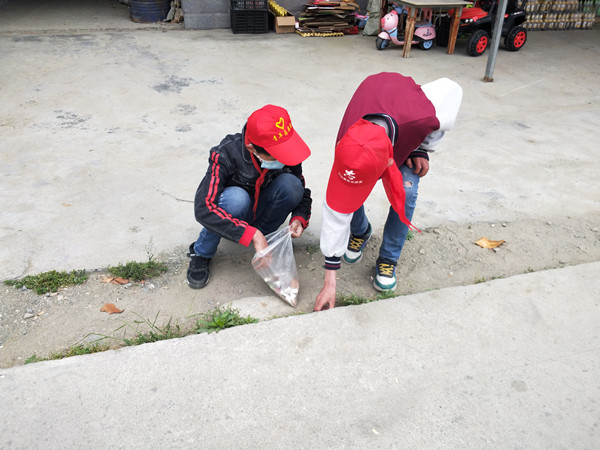 茅塔中学：志愿者进社区  助力清洁家园