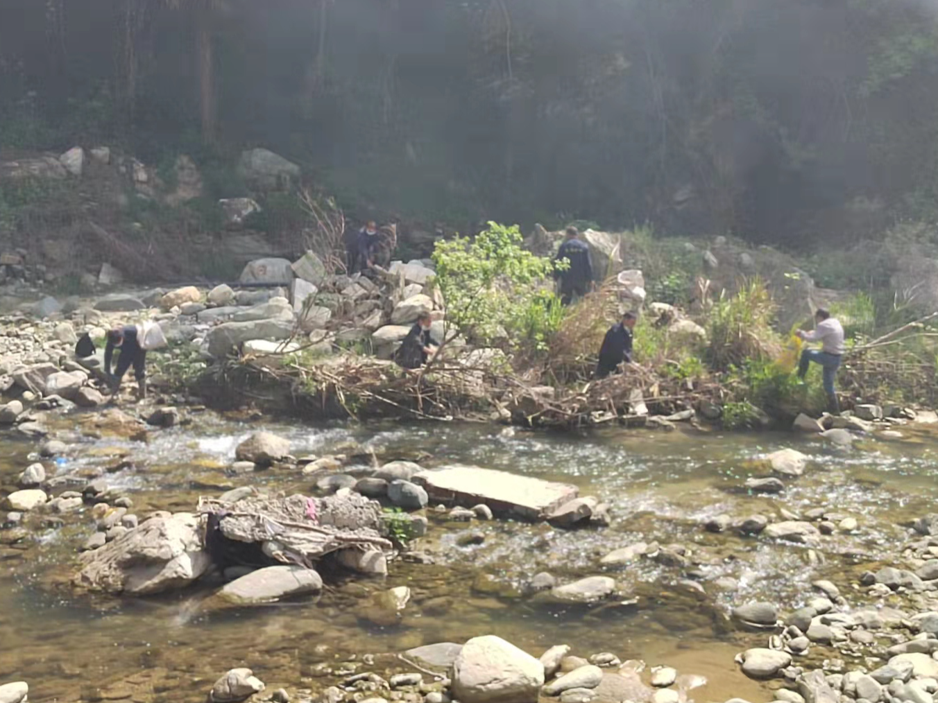 楼台乡：清理河道垃圾，优化人居环境