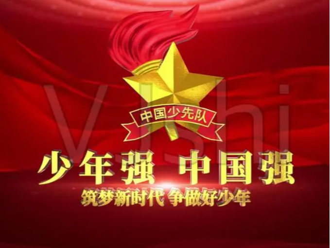 施洋小学：夯实少先队工作   传递德育正能量