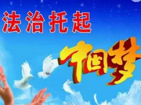 潘口乡召开法治宣传教育暨“八五”普法宣传动员会