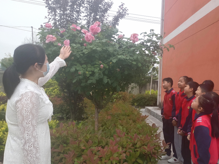 宝丰镇双丰小学校园四季见绿