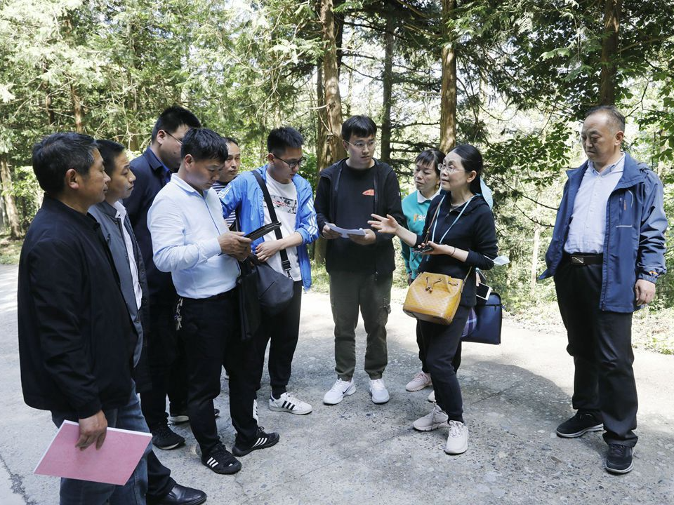 省市林业部门到竹山检查指导外来入侵物种普查