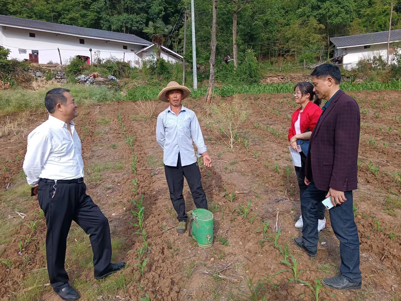 竹山经济开发区“户户走到”知民情暖民心
