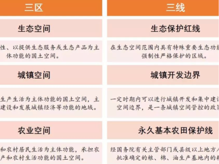 陈建平：紧扣政策红线科学划定“三区三线”