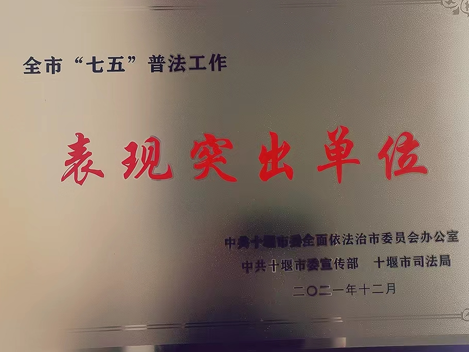 城关镇获评“七五普法表现突出单位”称号