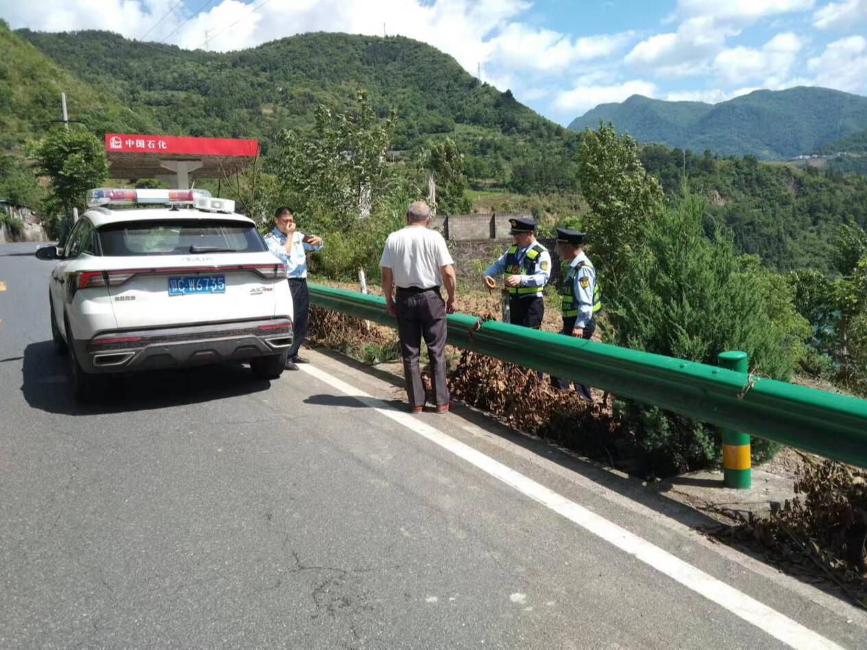 县交通运输综合执法大队查处一起擅自砍伐公路行道树案
