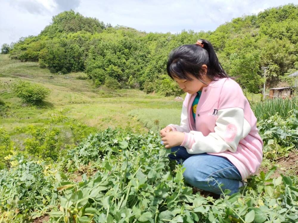黄栗九年制学校开展“劳动最光荣”主题活动