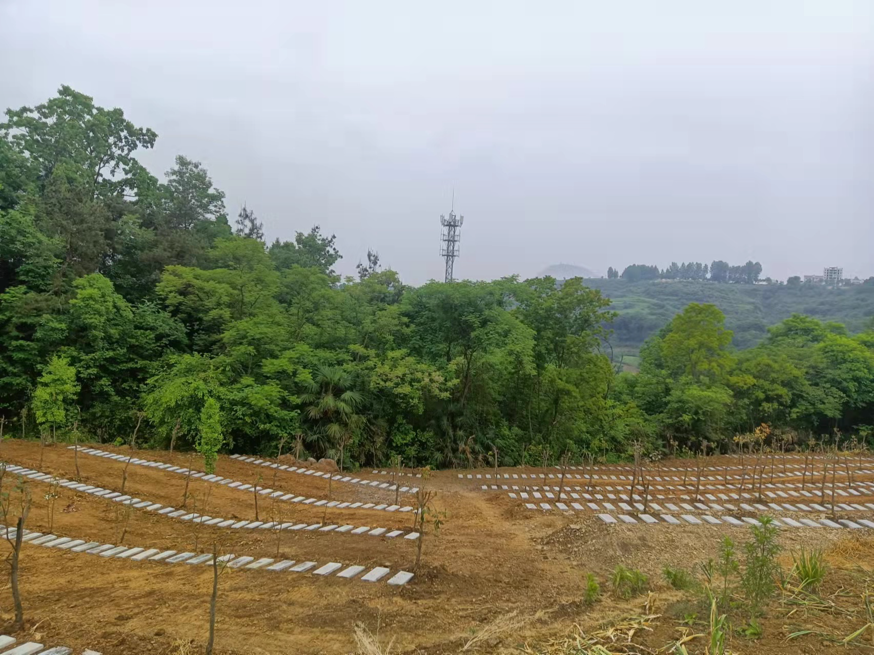 我县全域推进农村公益性公墓建设