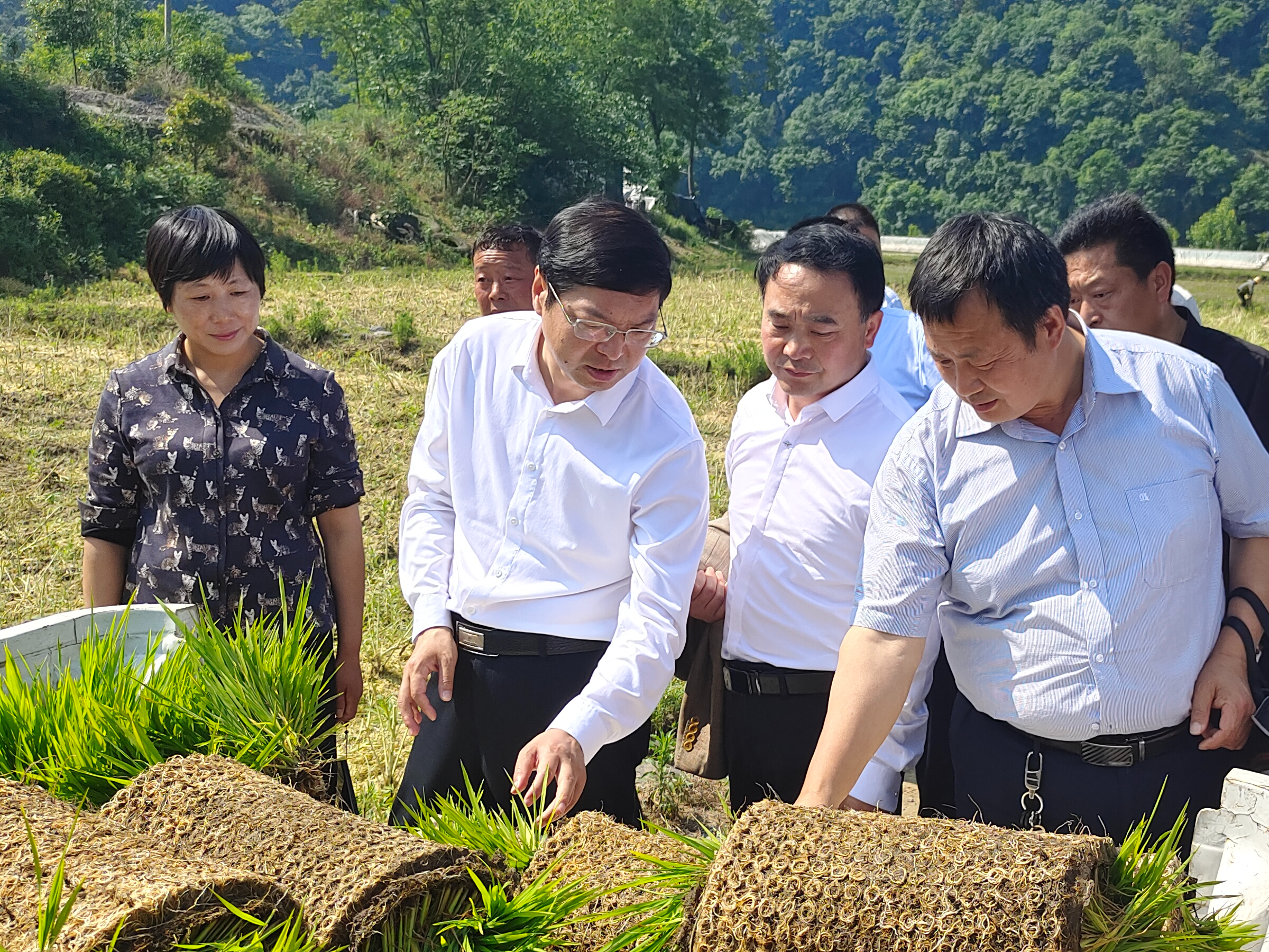 我縣召開2022年夏季農(nóng)業(yè)生產(chǎn)現(xiàn)場會