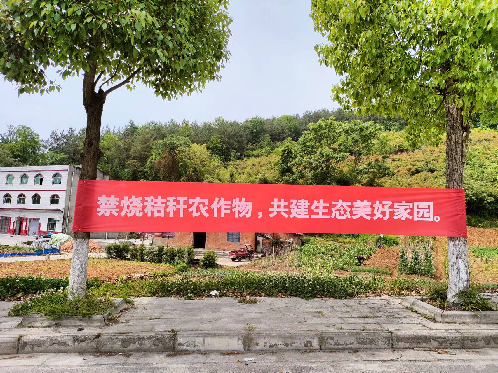 我县疏堵结合推进秸秆禁烧工作