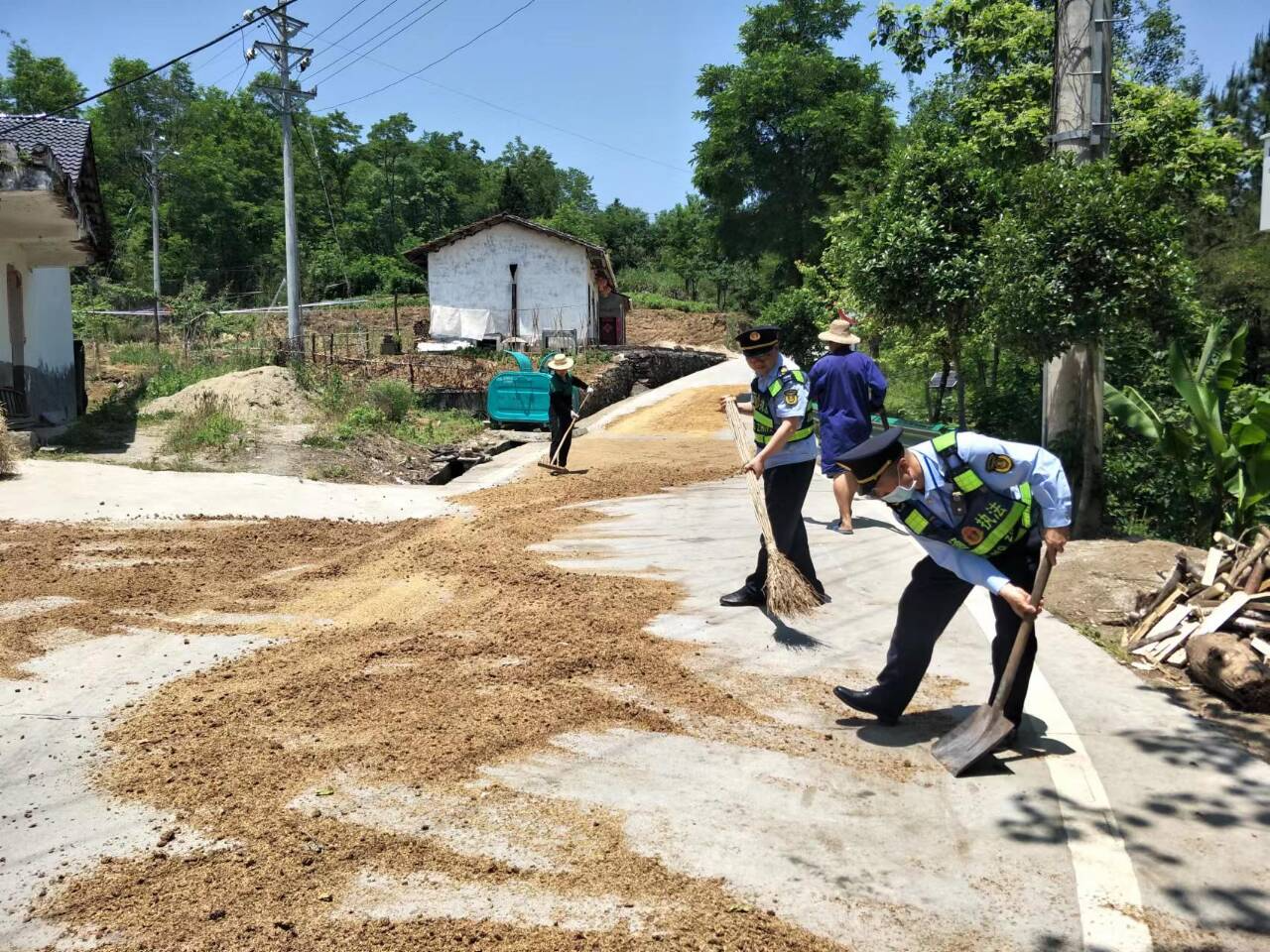 县交通执法大队开展农村道路打场晒粮专项整治行动
