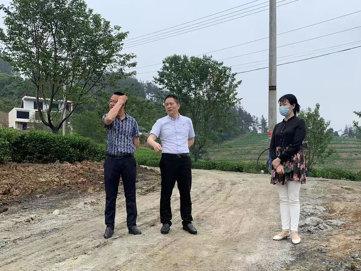 县乡村振兴局：“以督促改”确保乡村振兴衔接项目顺利实施