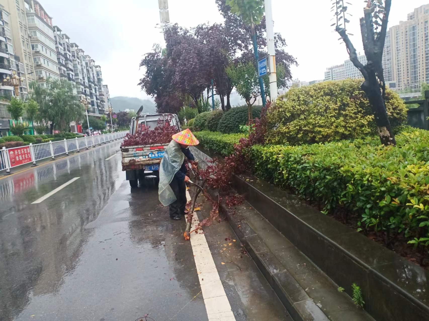 县园林路灯局及时清除路障保畅通