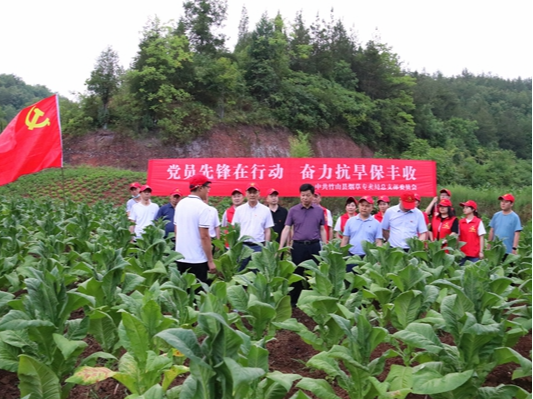 党员先锋在行动   奋力抗旱保丰收