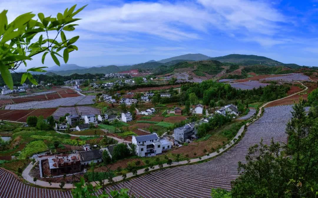 溢水镇纪委以纪检之风推动实践活动走深走实