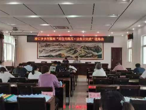 潘口乡召开“岗位大练兵 业务大比武”现场会