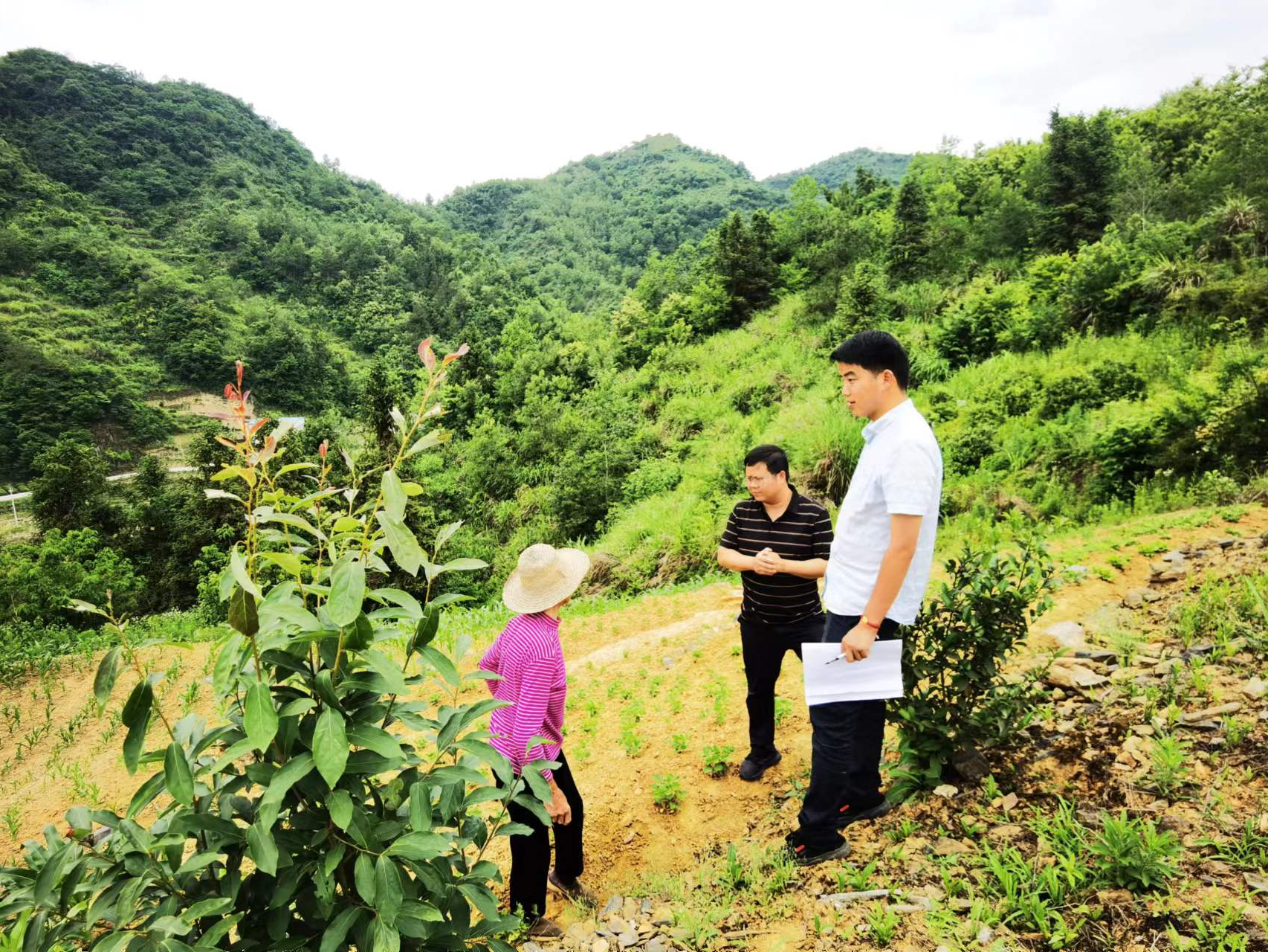 县委政法委开展“下基层、察民情、解民忧、暖民心”实践活动
