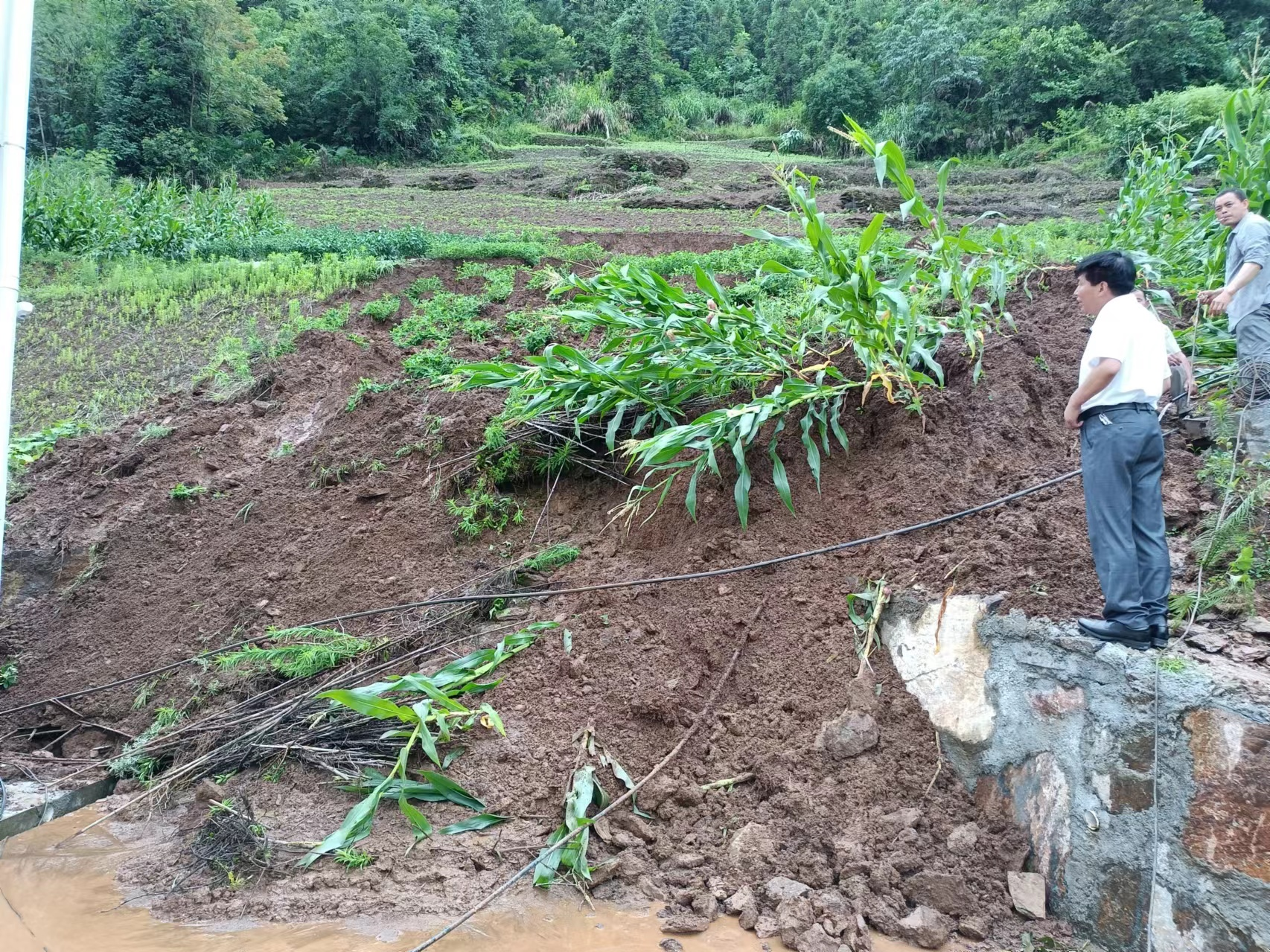 官渡镇：雨后隐患排查保平安