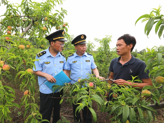 县市场监管局全程服务农业合作社助力乡村振兴