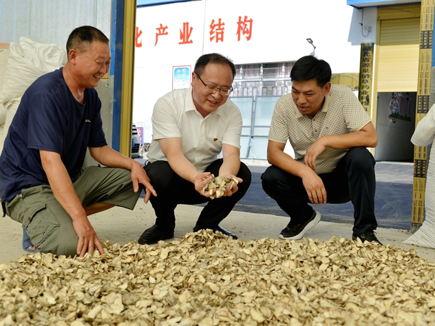 柳林乡：产业振兴赋能富民强乡