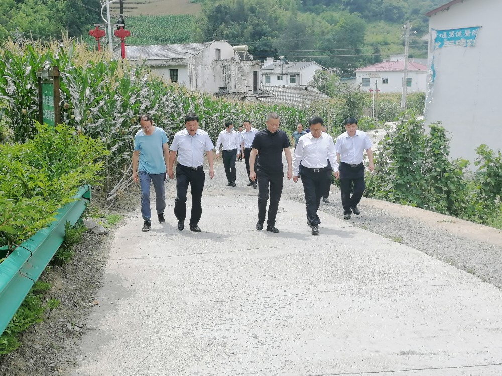 金玉心来我县开展“下基层察民情解民忧暖民心”实践活动