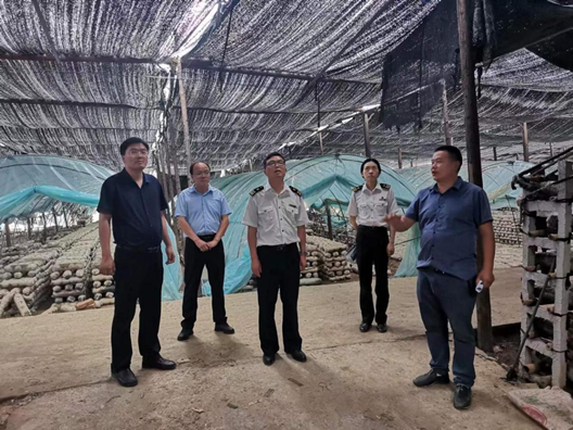 竹山县用好“楚贸通” 助企增质效