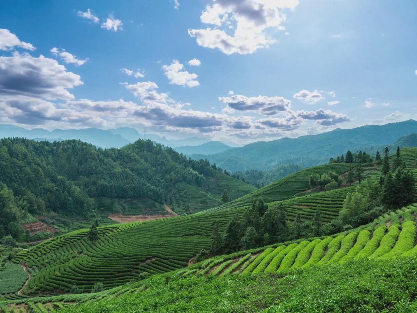 县民政局：为包扶企业纾困解难