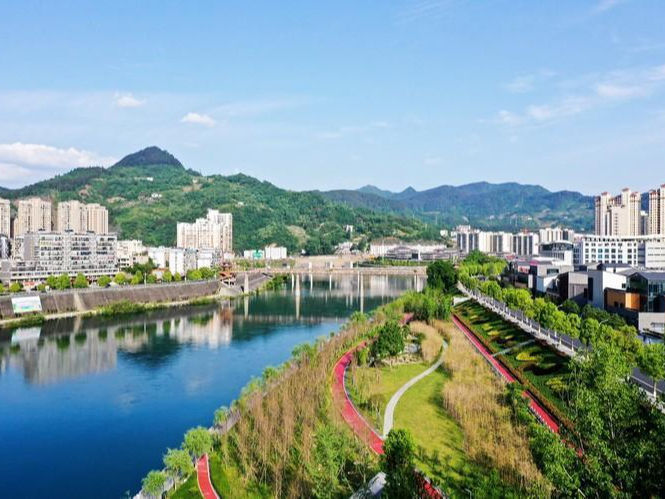 陈建平：坚持高位科学规划 完善城市功能品质