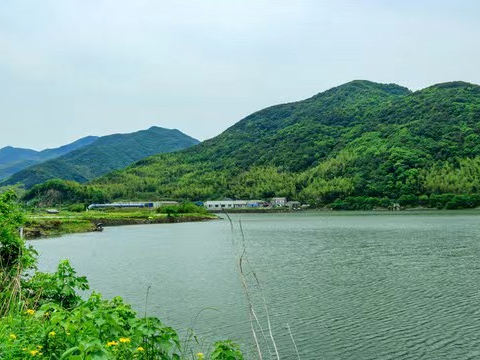 擂鼓镇：开展水库巡查 筑牢安全防线