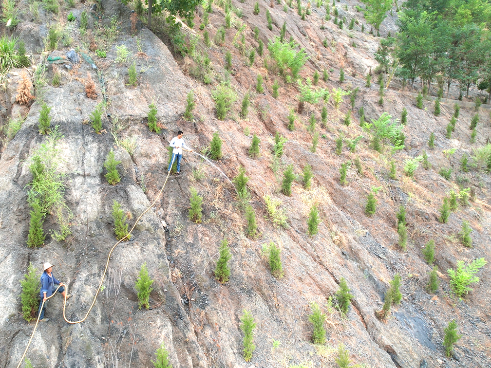 县林业部门积极组织抗旱保苗工作