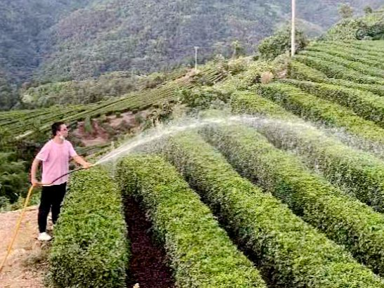 上庸镇：齐心协力抗旱保生产