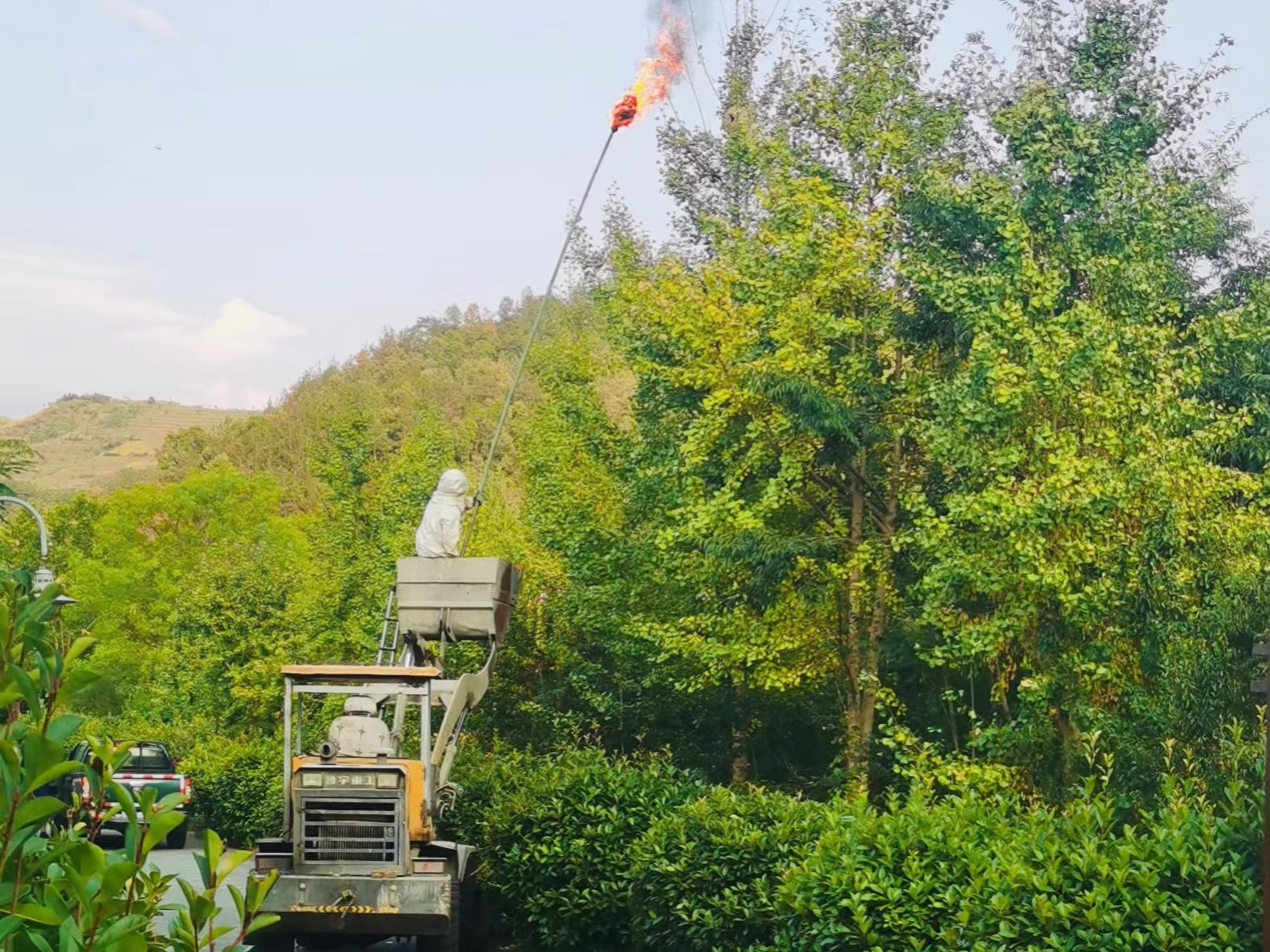 麻家渡镇：摘蜂窝 除隐患 保安全