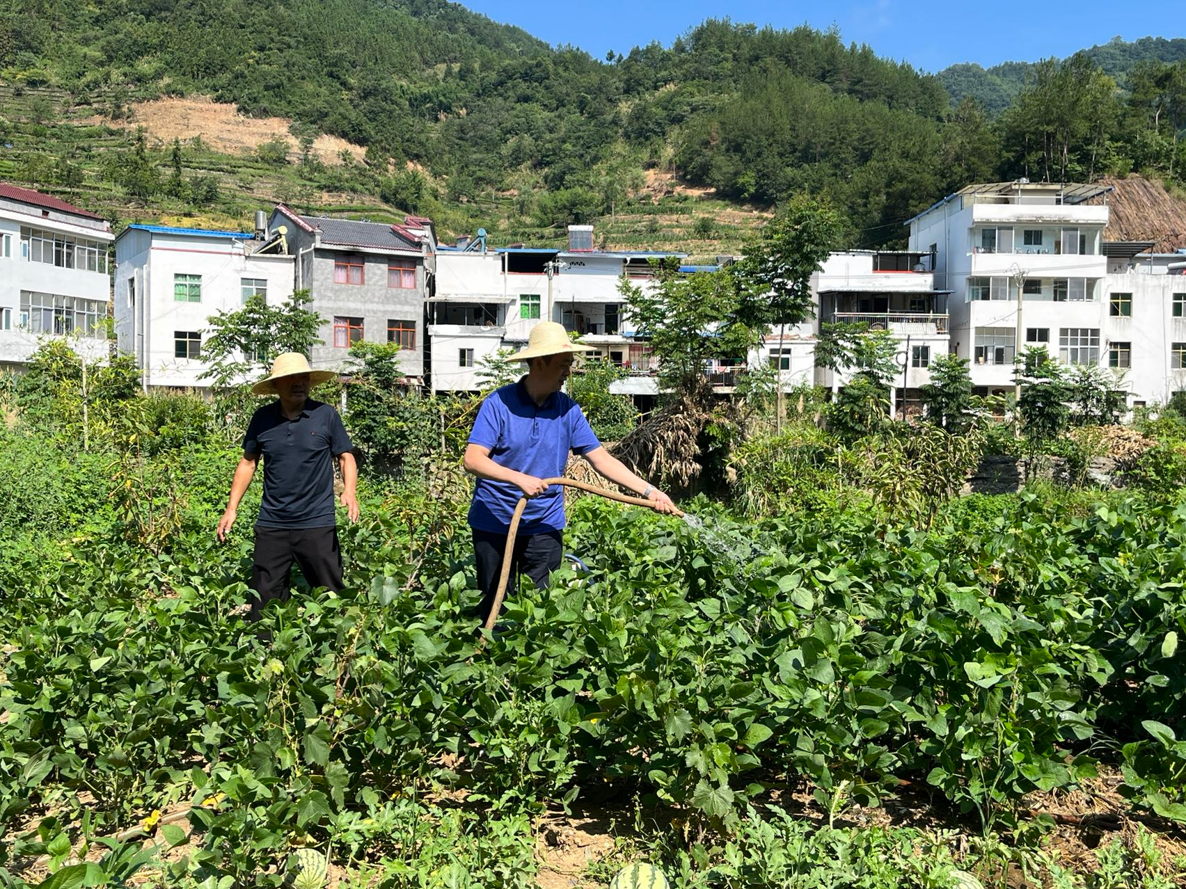 县供销社开展下基层抗旱救灾工作